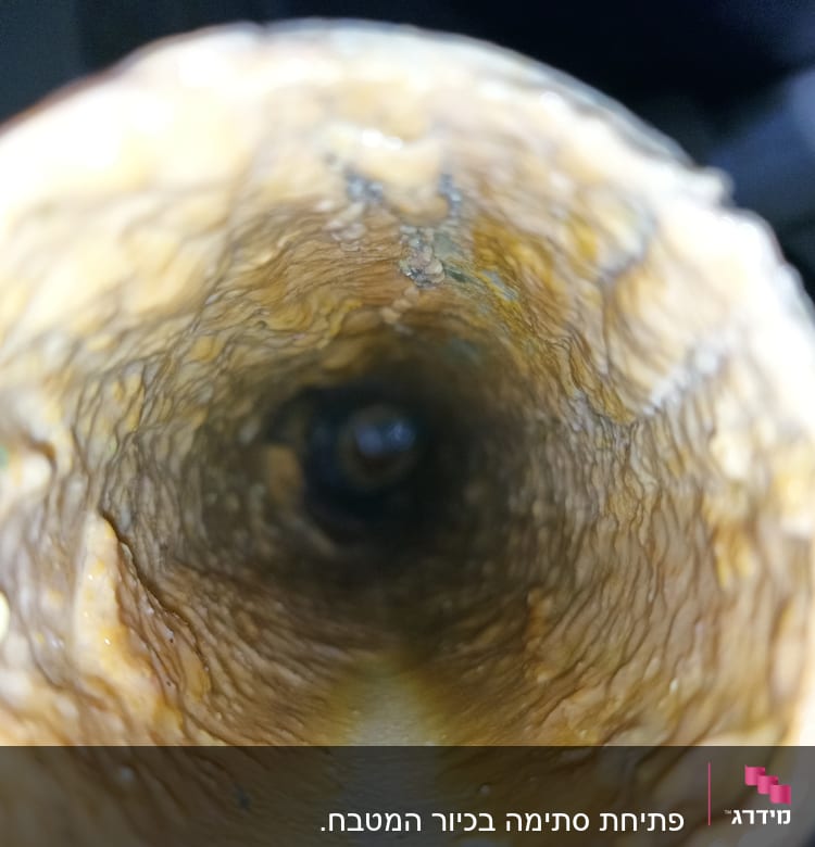 תקריב של פנים צינור עם הצטברות אבנית